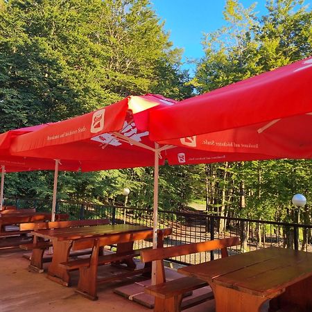 Great Mountain B&B Platak Exterior photo