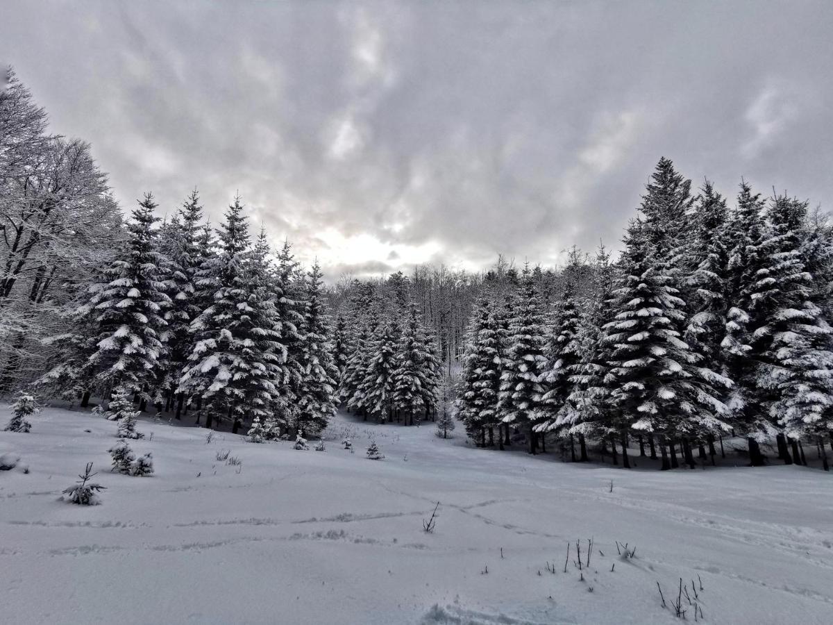 Great Mountain B&B Platak Exterior photo