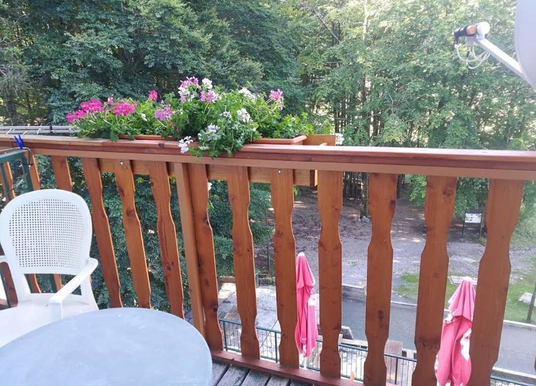 Great Mountain B&B Platak Exterior photo